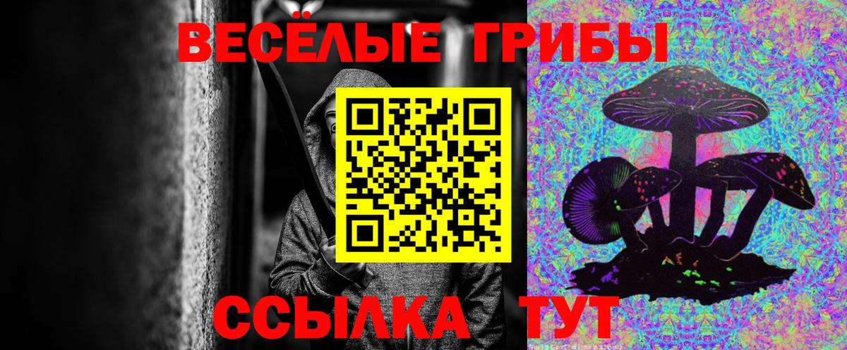 купить  сайты  Галлюциногенные грибы Psilocybe  Вход с VPN  Братск 