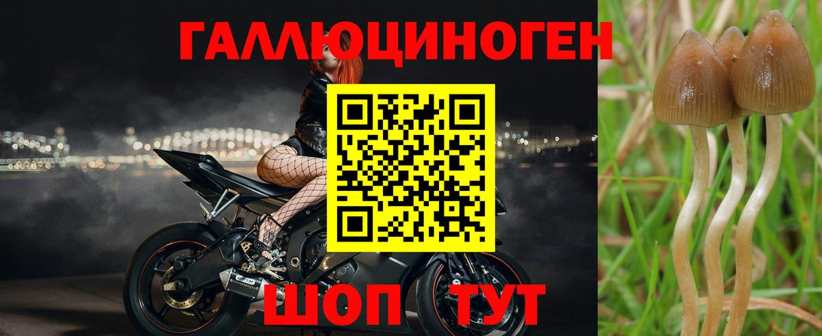 Псилоцибиновые грибы мухоморы Братск